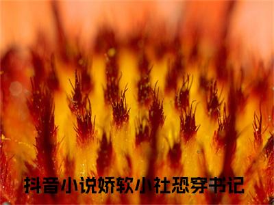 娇软小社恐穿书记（林软软霍启）免费阅读最新章节无弹窗林软软霍启完整版小说在线阅读