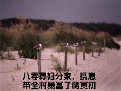 八零寡妇分家，携崽带全村暴富了蒋寅初（八零寡妇分家，携崽带全村暴富了蒋寅初）正版免费小说-八零寡妇分家，携崽带全村暴富了蒋寅初抖音新上热文分享