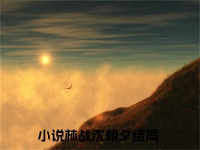 主角是林战沈朝夕的小说叫什么名字-林战沈朝夕小说全文免费阅读