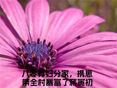 小说《八零寡妇分家，携崽带全村暴富了蒋寅初》全文免费阅读无弹窗-八零寡妇分家，携崽带全村暴富了蒋寅初小说全文在线赏析_笔趣阁