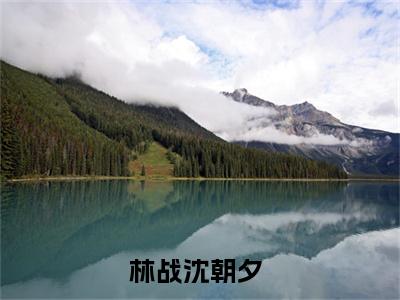 林战沈朝夕（林战沈朝夕）全文免费阅读无弹窗大结局_林战沈朝夕最新章节列表（林战沈朝夕）