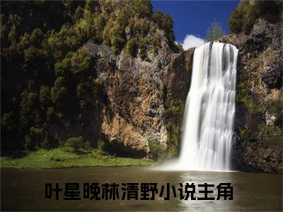 叶星晚林清野小说（叶星晚林清野）全文免费阅读无弹窗大结局-叶星晚林清野最新热点小说