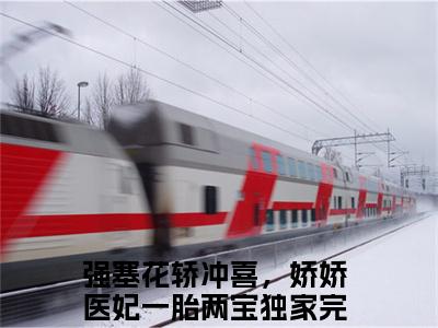 叶梓宁寒煞（强塞花轿冲喜，娇娇医妃一胎两宝）全文免费阅读无弹窗大结局_叶梓宁寒煞最新章节列表_笔趣阁（强塞花轿冲喜，娇娇医妃一胎两宝）