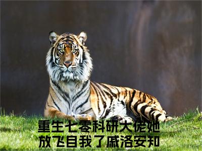 重生七零科研大佬她放飞自我了戚洛安全文免费在线阅读_（重生七零科研大佬她放飞自我了戚洛安免费阅读无弹窗）重生七零科研大佬她放飞自我了戚洛安全文免费完结版阅读