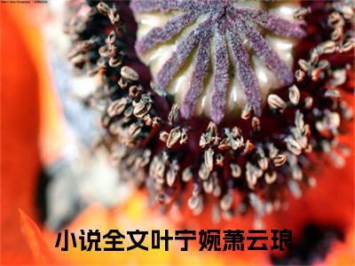 叶宁婉萧云琅小说最新章节（叶宁婉萧云琅）全文免费阅读无弹窗大结局_叶宁婉萧云琅免费阅读（叶宁婉萧云琅小说）