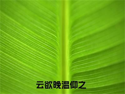 云欲晚温仰之小说(云欲晚温仰之)全文免费云欲晚温仰之读无弹窗大结局_(云欲晚温仰之小说免费阅读)