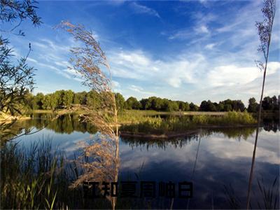 江知夏周岫白在线阅读无弹窗_江知夏周岫白最新章节列表_笔趣阁