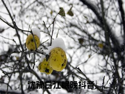 沈豫白江眠晚全文免费阅读无弹窗大结局-（沈豫白江眠晚）免费阅读无弹窗最新章节列表-笔趣阁