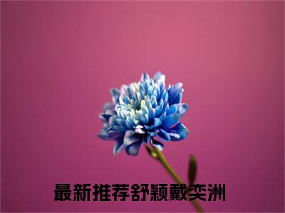 舒颖戴奕洲阅读无弹窗大结局_（舒颖戴奕洲阅读无弹窗）最新章节列表_笔趣阁（舒颖戴奕洲）