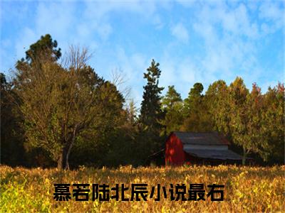 慕若陆北辰（慕若陆北辰）无广告免费阅读-慕若陆北辰小说最后结局如何