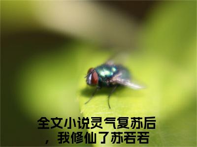 灵气复苏后，我修仙了苏若若小说全文阅读-（灵气复苏后，我修仙了苏若若）小说全文免费阅读无弹窗大结局