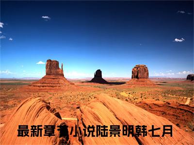 陆景明韩七月（陆景明韩七月）免费阅读无弹窗大结局-陆景明韩七月免费阅读大结局最新章节列表_笔趣阁