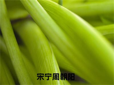 宋宁周朝阳全文小说-宋宁周朝阳小说最新章节免费阅读