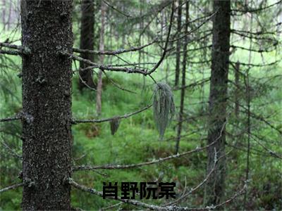 咬樱全文小说（肖野阮棠）全文阅读-咬樱在线小说免费阅读