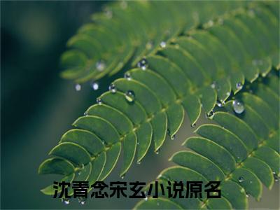 沈青念宋玄正版小说最新章节在线阅读-小说沈青念宋玄已完结全集大结局