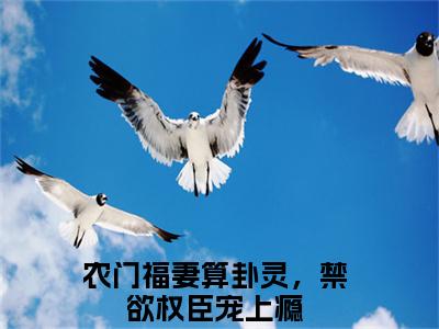 农门福妻算卦灵，禁欲权臣宠上瘾（云溪鹿温至清）全文免费阅读无弹窗大结局_云溪鹿温至清小说最新章节列表_笔趣阁（农门福妻算卦灵，禁欲权臣宠上瘾）