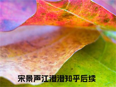 宋景声江澄澄小说最新试读_小说名是(宋景声江澄澄)