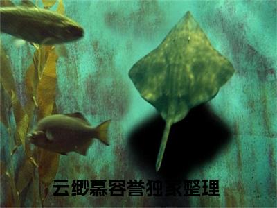 云缈慕容誉全文免费阅读-小说推荐云缈慕容誉精彩章节在线阅读