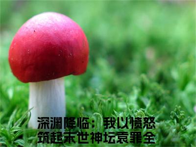 (番外)+(全文)深渊降临：我以愤怒筑起末世神坛袁罪全文小说免费下载阅读深渊降临：我以愤怒筑起末世神坛袁罪全文小说最新章节列表_笔趣阁（深渊降临：我以愤怒筑起末世神坛袁罪全文）