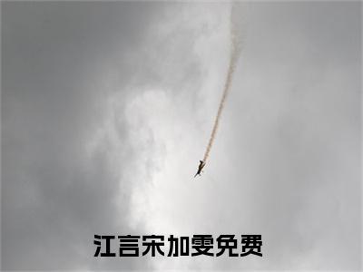 江言宋加雯小说全文免费阅读无弹窗大结局_（江言宋加雯免费阅读无弹窗）最新章节列表_笔趣阁