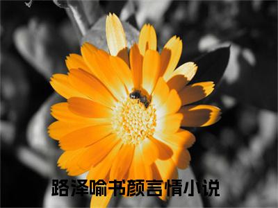 路泽喻书颜小说在线阅读（路泽喻书颜）全文免费阅读大结局_路泽喻书颜最新章节列表笔趣阁