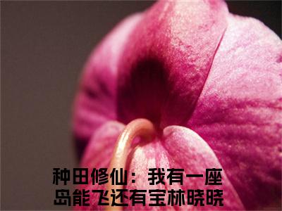 种田修仙：我有一座岛能飞还有宝林晓晓（种田修仙：我有一座岛能飞还有宝林晓晓）全文免费阅读无弹窗大结局_ (种田修仙：我有一座岛能飞还有宝林晓晓小说全文免费阅读)最新章节列表_笔趣阁