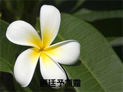 顾廷予简霜小说（顾廷予简霜）最新章节阅读-小说（顾廷予简霜）已完结全集大结局