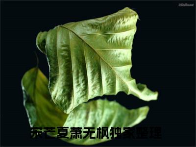 宋芒夏萧无枫小说全文免费阅读，宋芒夏萧无枫完整版