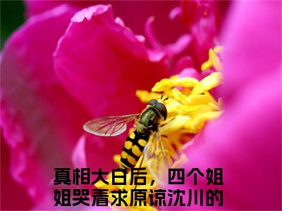 真相大白后，四个姐姐哭着求原谅沈川 全文免费阅读无弹窗大结局-真相大白后，四个姐姐哭着求原谅沈川全文无弹窗免费阅读大结局