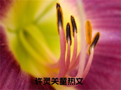 许灵关童小说（许灵关童最新全章节大结局）许灵关童全文阅读