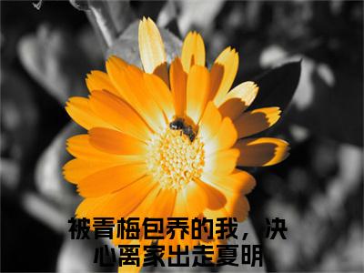 被青梅包养的我，决心离家出走夏明小说（被青梅包养的我，决心离家出走夏明）全文免费阅读无弹窗-被青梅包养的我，决心离家出走夏明最新章节列表-笔趣阁