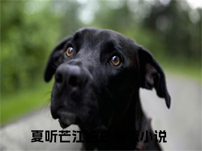 夏听芒江逾白(夏听芒江逾白)全文免费阅读_夏听芒江逾白全文阅读_笔趣阁