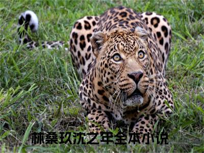 林桑玖沈之年（林桑玖沈之年）全文免费阅读无弹窗大结局_林桑玖沈之年全文在线阅读无弹窗