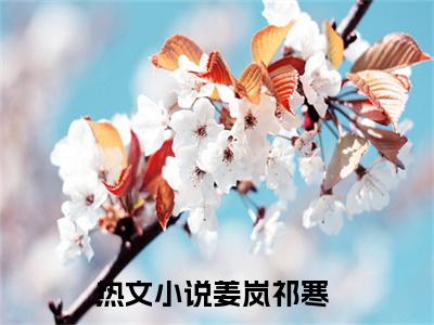 姜岚祁寒（姜岚祁寒）全文在线阅读无弹窗大结局_姜岚祁寒最新章节列表_笔趣阁