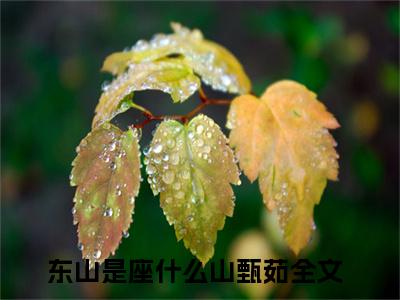 东山是座什么山甄茹（东山是座什么山甄茹）全文免费阅读最新章节_东山是座什么山甄茹免费阅读无弹窗最新章节列表_笔趣阁