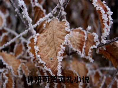 林妍可贺寅礼（林妍可贺寅礼）全文免费阅读无弹窗大结局_林妍可贺寅礼小说最新章节列表笔趣阁（林妍可贺寅礼）