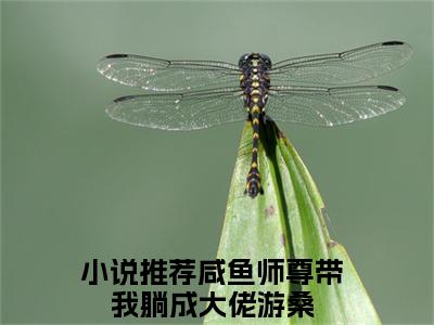 咸鱼师尊带我躺成大佬游桑小说全文(咸鱼师尊带我躺成大佬游桑)全文免费阅读无弹窗大结局_ 咸鱼师尊带我躺成大佬游桑全文免费阅读最新章节列表