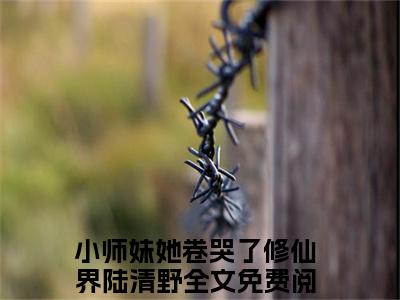 小师妹她卷哭了修仙界陆清野全文免费大结局小说-小师妹她卷哭了修仙界陆清野全文最新章节阅读