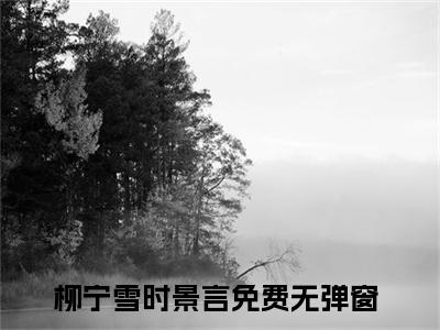 柳宁雪时景言（柳宁雪时景言）全文免费阅读无弹窗大结局-（柳宁雪时景言）无弹窗-笔趣阁