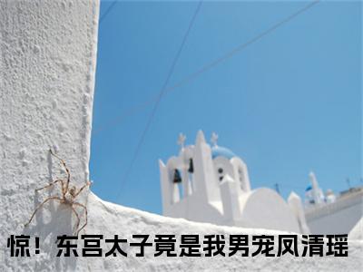 惊！东宫太子竟是我男宠凤清瑶全文免费阅读无弹窗大结局-惊！东宫太子竟是我男宠凤清瑶小说在哪里可以看