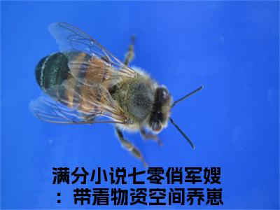 七零俏军嫂：带着物资空间养崽崽江悦（七零俏军嫂：带着物资空间养崽崽江悦）全文免费阅读无弹窗大结局_（七零俏军嫂：带着物资空间养崽崽江悦）七零俏军嫂：带着物资空间养崽崽江悦全文最新章节列表_笔趣阁（七零俏军嫂：带着物资空间养崽崽江悦）