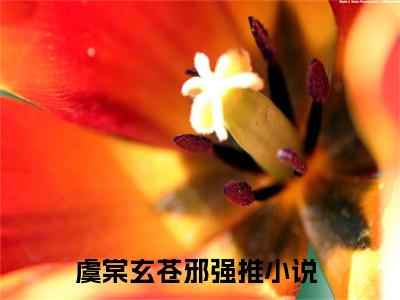 虞棠玄苍邪最新小说全文阅读-抖音新书热荐虞棠玄苍邪