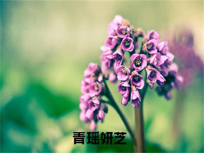 青瑶妍芝小说免费(青瑶妍芝)全文免费阅读无弹窗-青瑶妍芝最新章节列表_笔趣阁