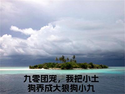 九零团宠，我把小土狗养成大狼狗小九全文免费阅读_九零团宠，我把小土狗养成大狼狗小九最新小说_笔趣阁