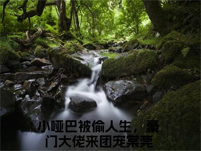 小哑巴被偷人生，豪门大佬来团宠棠莞（小哑巴被偷人生，豪门大佬来团宠棠莞全文免费阅读）完结阅读_小哑巴被偷人生，豪门大佬来团宠棠莞全文免费阅读免费看全文