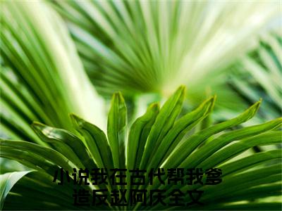 我在古代帮我爹造反赵阿庆小说免费阅读-热点小说榜单推荐我在古代帮我爹造反赵阿庆