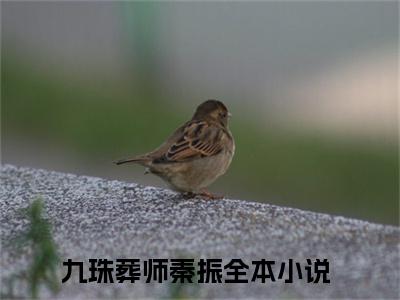 九珠葬师秦振小说免费（九珠葬师秦振）全文免费阅读无弹窗大结局_（九珠葬师秦振）九珠葬师秦振小说免费免费阅读无弹窗最新章节列表