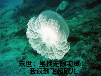 末世：坐拥无限物资，我浪到飞起歆儿（末世：坐拥无限物资，我浪到飞起歆儿）全文免费阅读最新章节大结局_末世：坐拥无限物资，我浪到飞起歆儿最新章节列表_笔趣阁