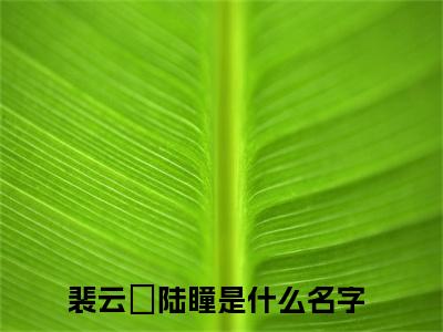 裴云暎陆瞳小说全文免费阅读 （裴云暎陆瞳）免费阅读全文免费阅读无弹窗大结局