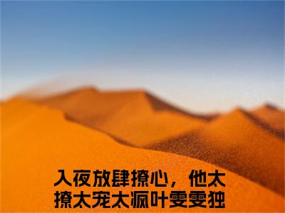 入夜放肆撩心，他太撩太宠太疯叶雯雯正版小说强推入夜放肆撩心，他太撩太宠太疯叶雯雯免费小说无弹窗